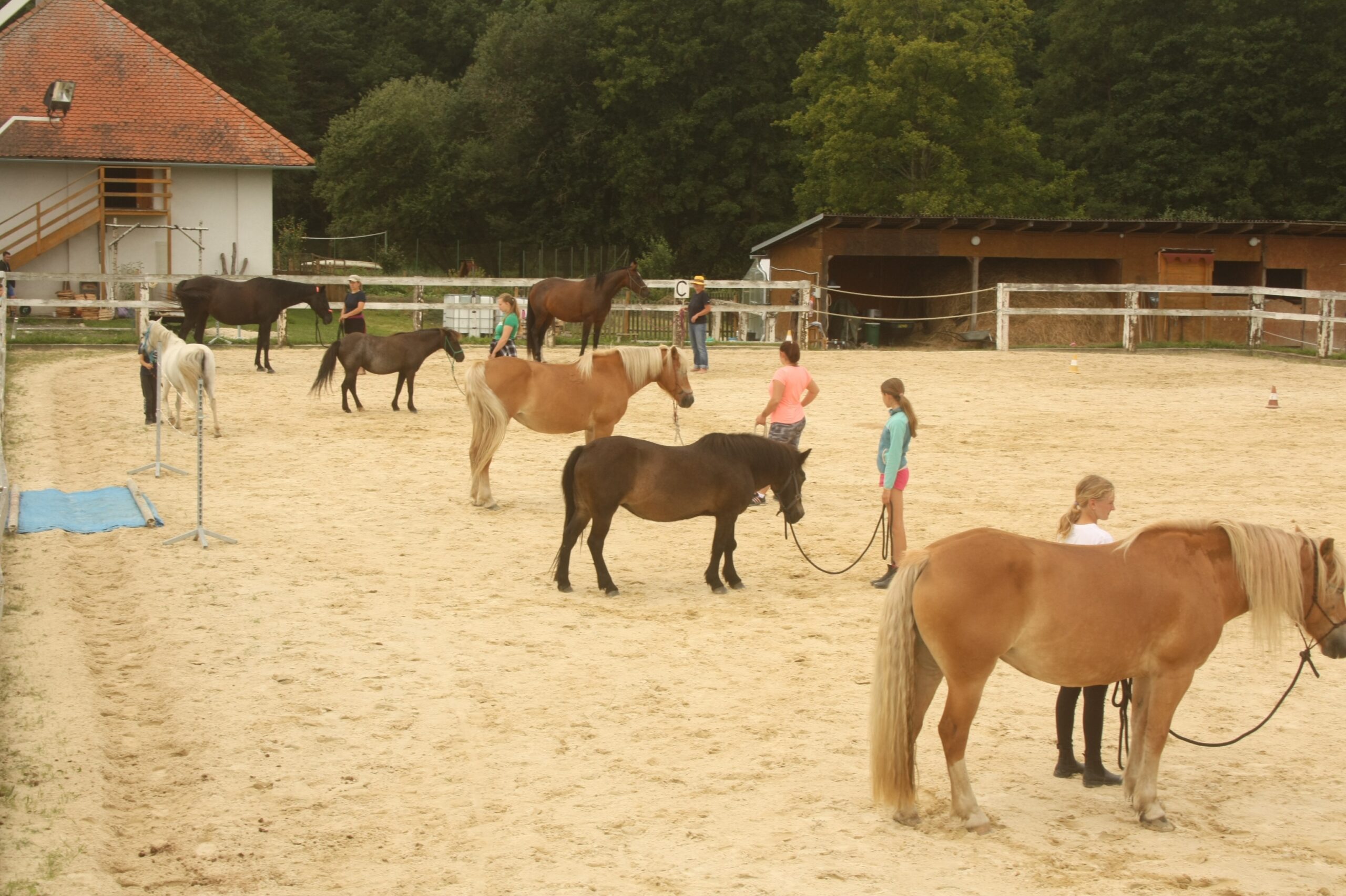 jezdecky_kurs_jarni_foto1