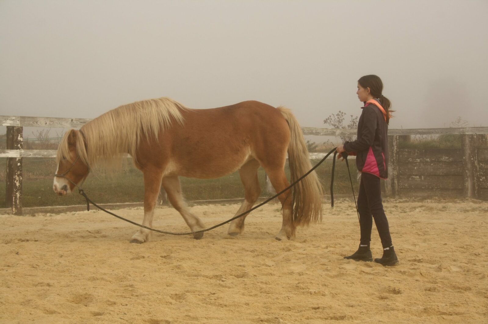 jezdecky_kurs_podzimni_foto1